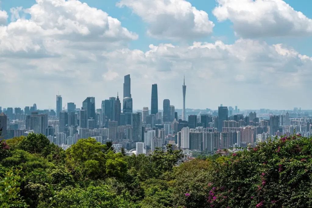 员工持股方案与期权激励计划在成长型企业中的实施路径
