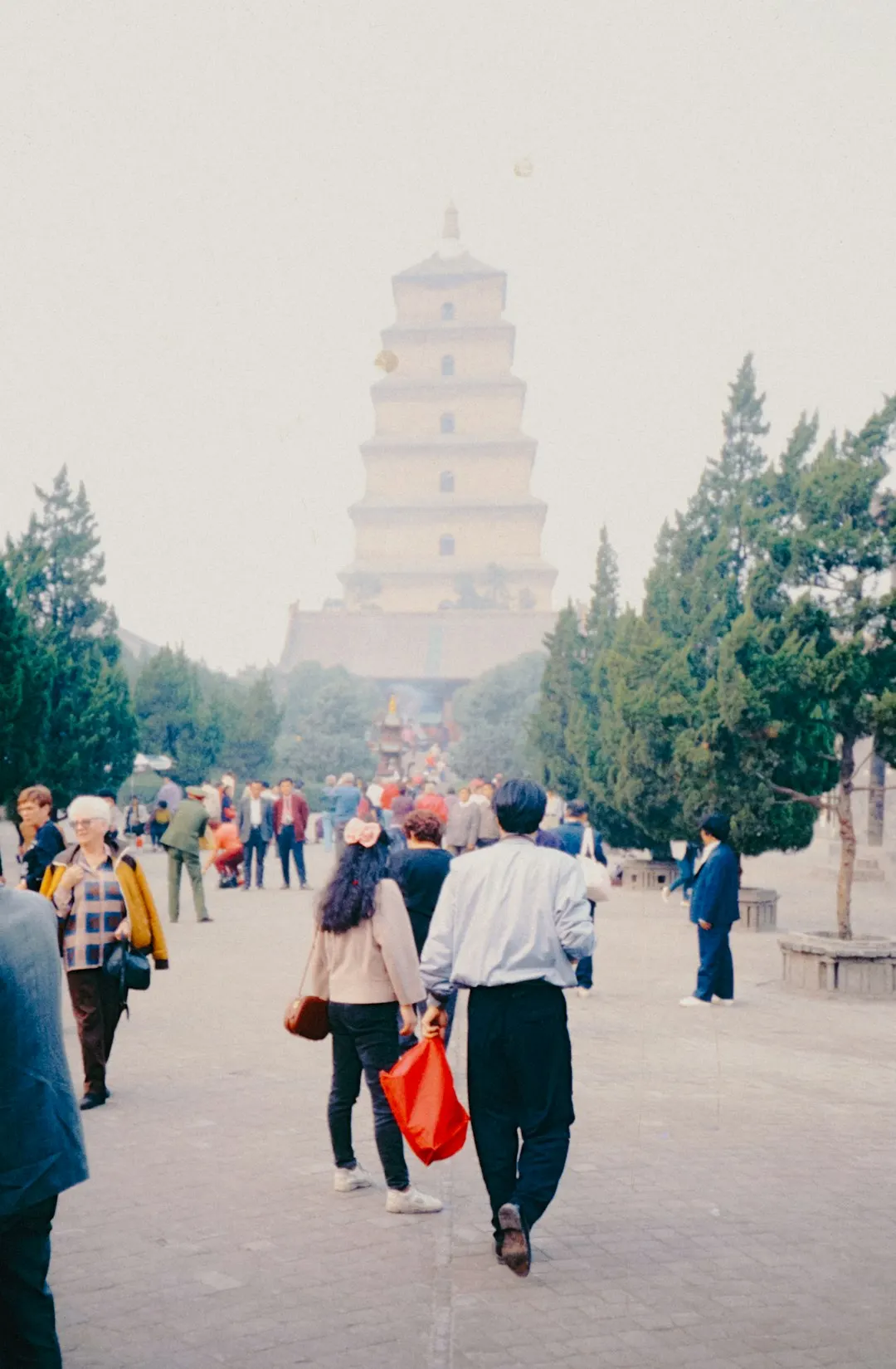 贵州中小企业改制方案落地难点解析：股权架构设计如何适配地方产业特点