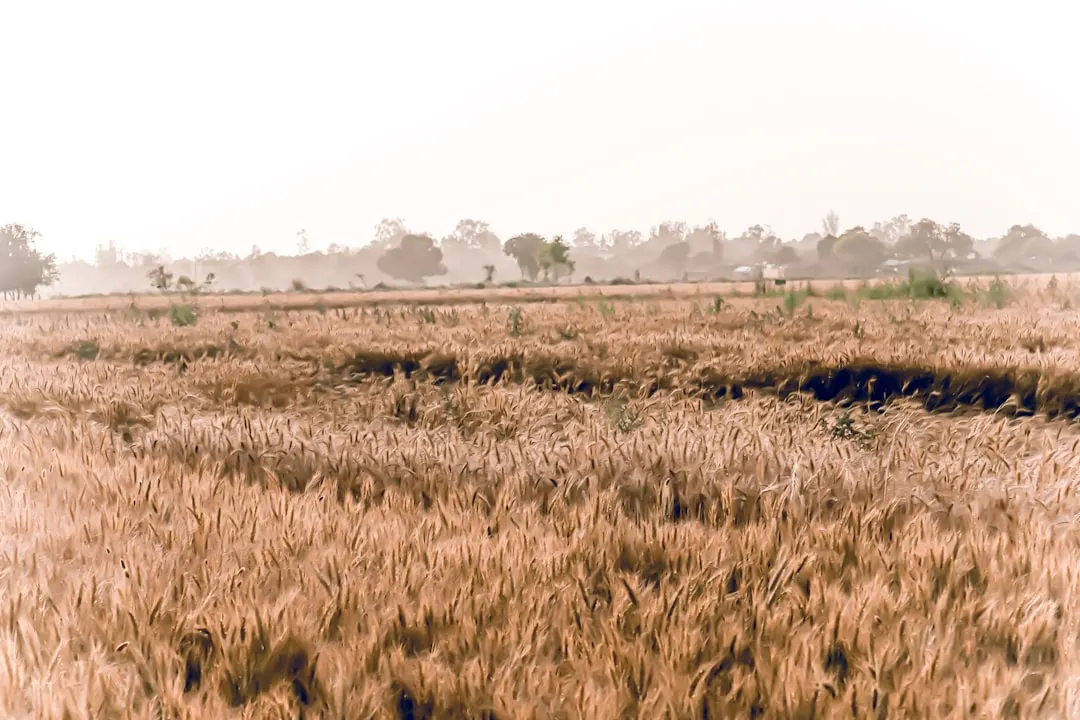 2024年中小企业股权架构设计常见误区与合规调整方案
