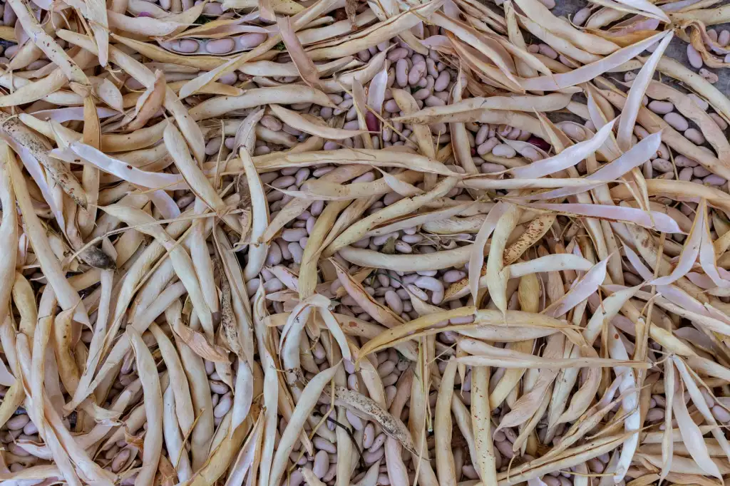 合伙人协议撰写指南：关键条款与风险防范实务