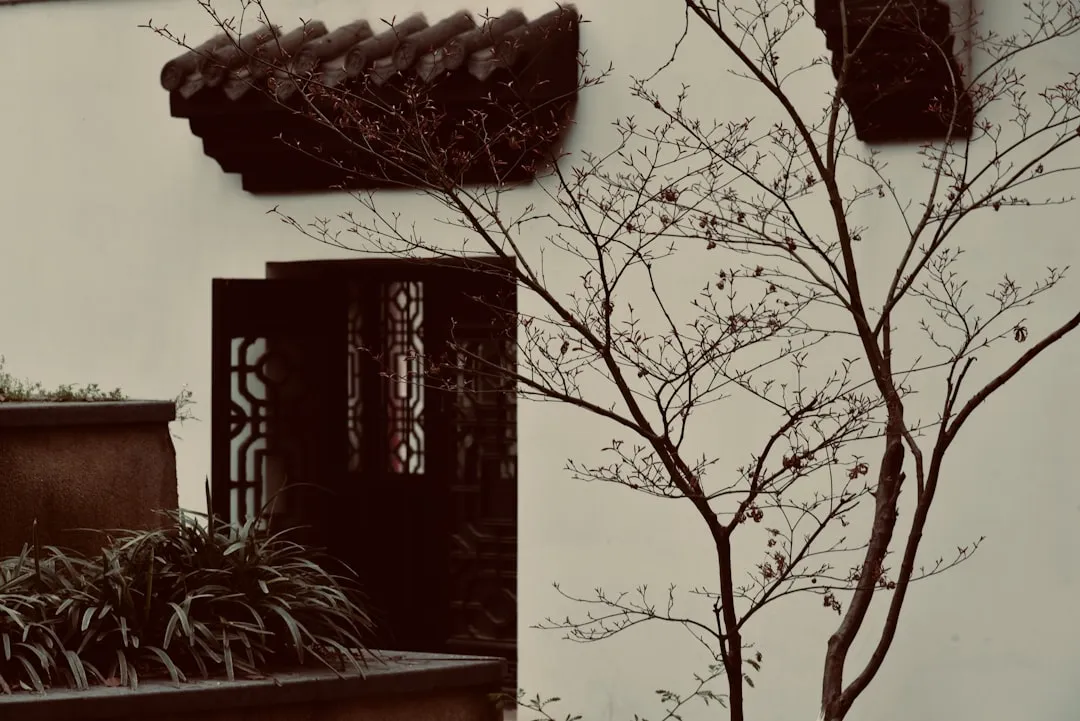 贵州亦铖联商务咨询：股权架构设计服务在企业改制中的实战应用案例